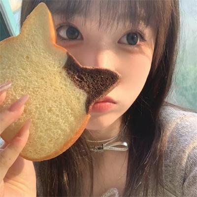 狗的生涯